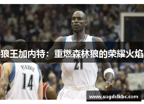 狼王加内特：重燃森林狼的荣耀火焰